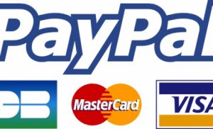 Quali broker Forex accettano Paypal?