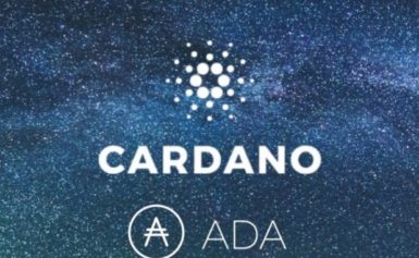 Cardano la criptovaluta più performante dell’ultima settimana dopo interessamento di Google