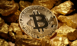 What is Bitcoin Gold? Everything You Need to Know About the Hard Fork